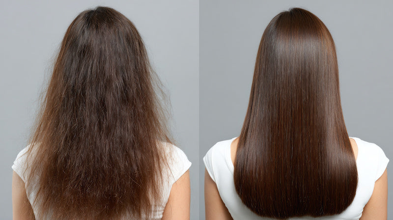 Capelli Trattati e Danneggiati